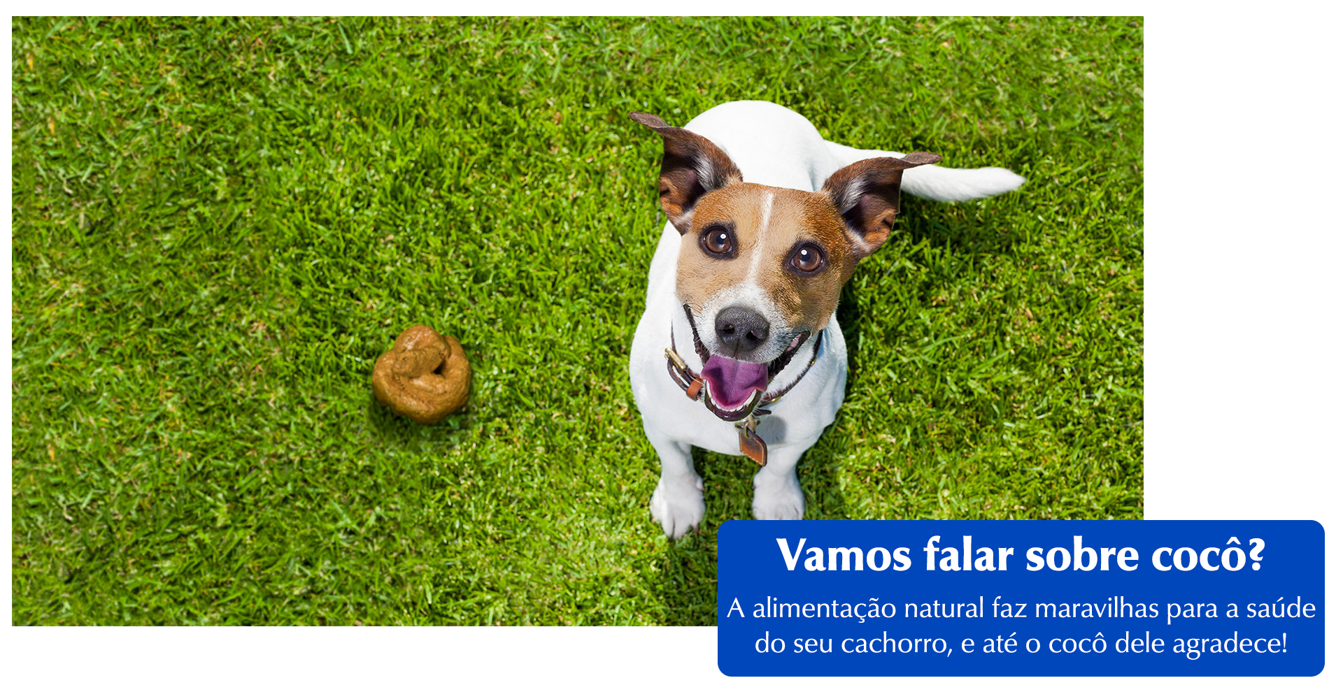 CAPA-BLOG
