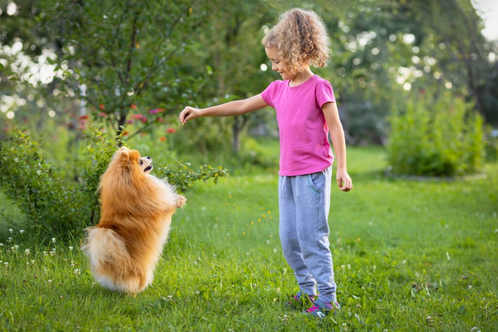 menina adestrando cachorro com petisco