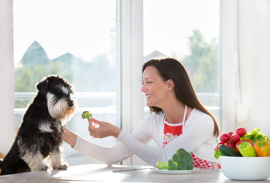 vegetais para cachorro comer