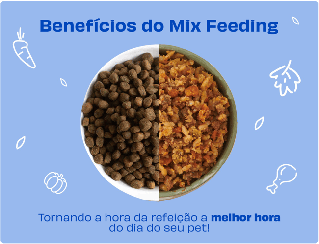 benefícios_site