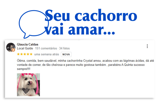 depoimento4-2