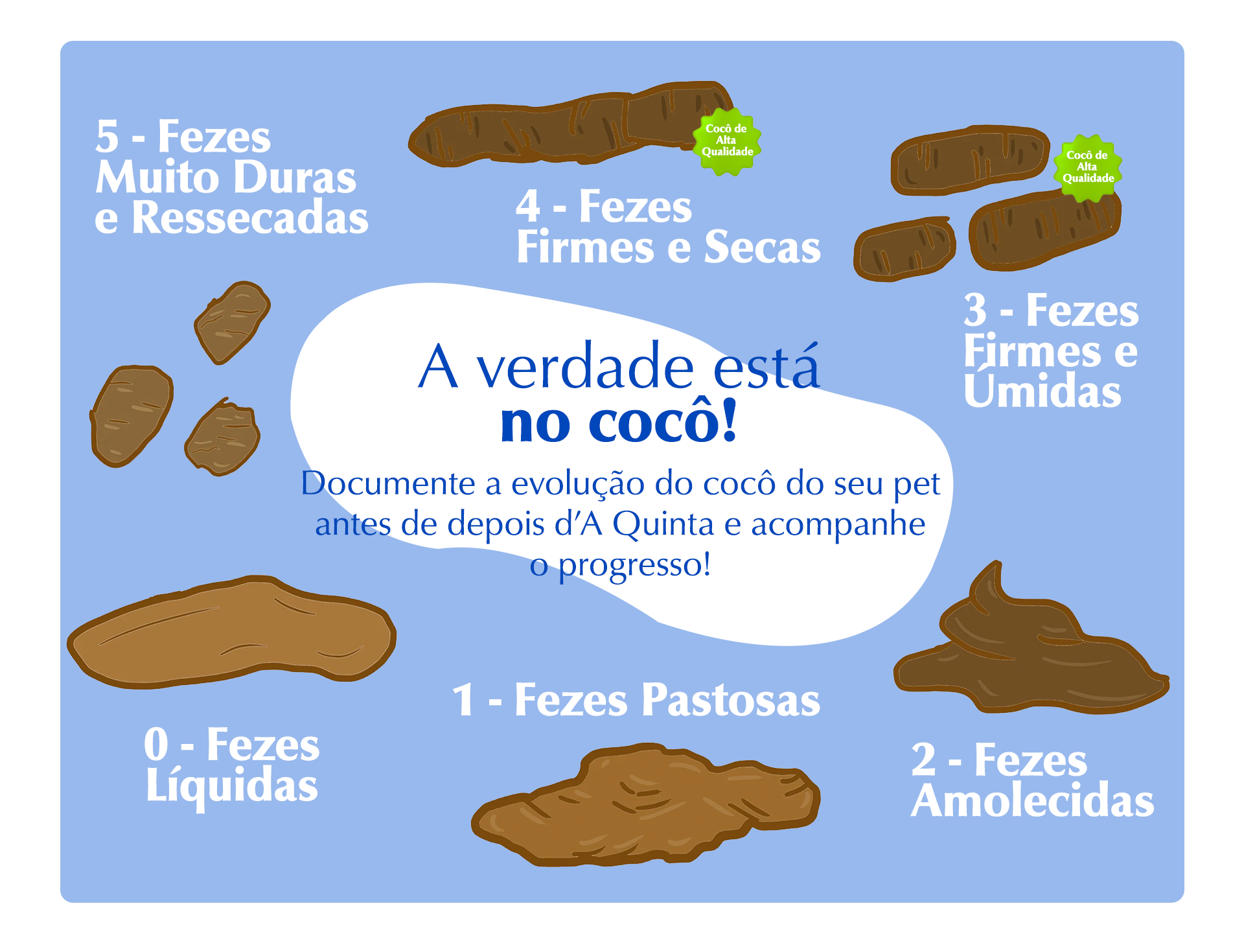 Os Sinais que o Cocô do Seu Cachorro Dá Sobre a Saúde Dele